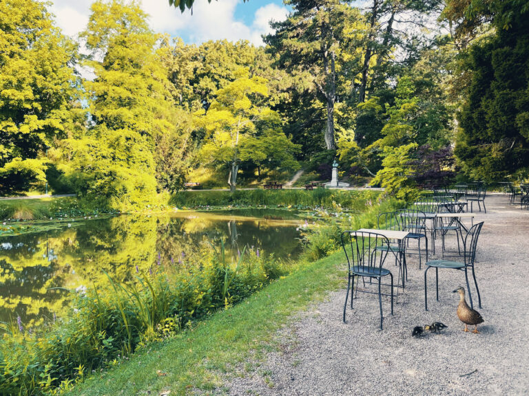 Botaniska trädgården