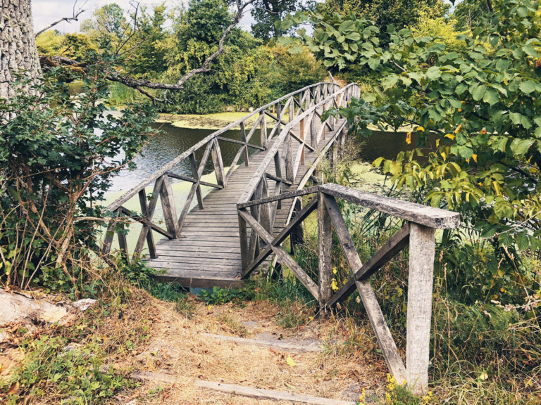 Stjärneholms borgruin