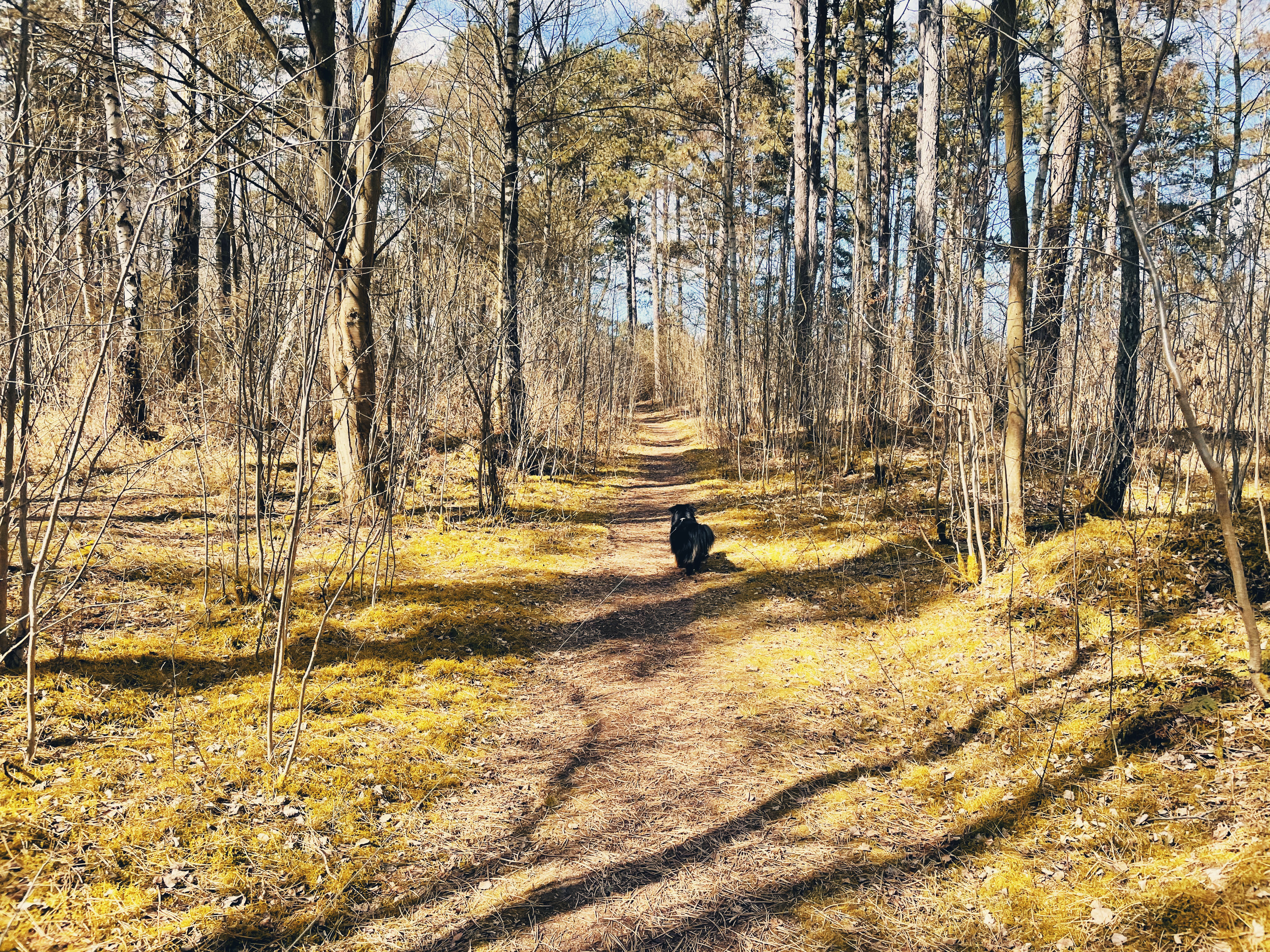 Järavallens Strövområde