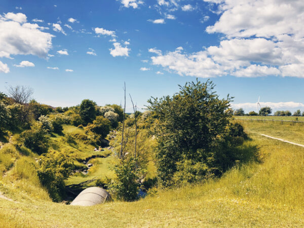 Rinnebäcksravinen