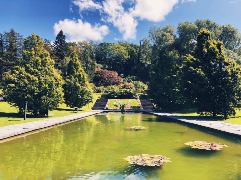 Göteborgs botaniska trädgård