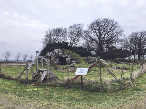 Nordens största skålgropar