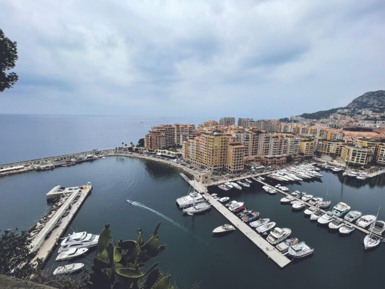 Port of Fontvieille viewpoint